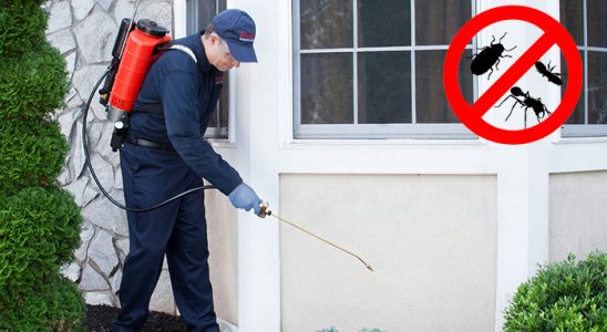 Yerköy Fare İlaçlama böcek ilaçlama ve haşere kontrolü — ilaclama-tr.com